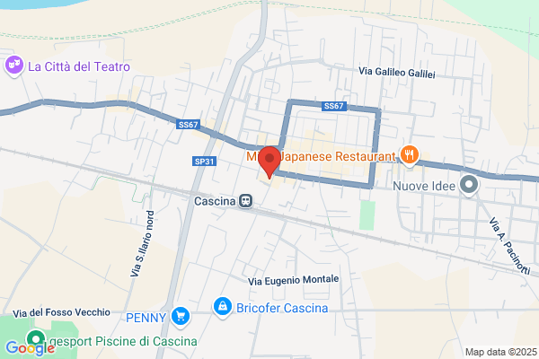 Impresa Multi Service Pisana