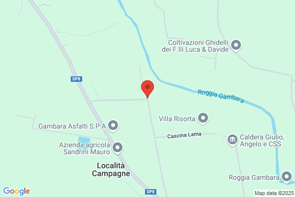 Macelloni massimo
