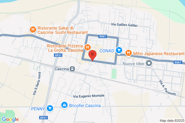Partito Democratico Della Sinistra