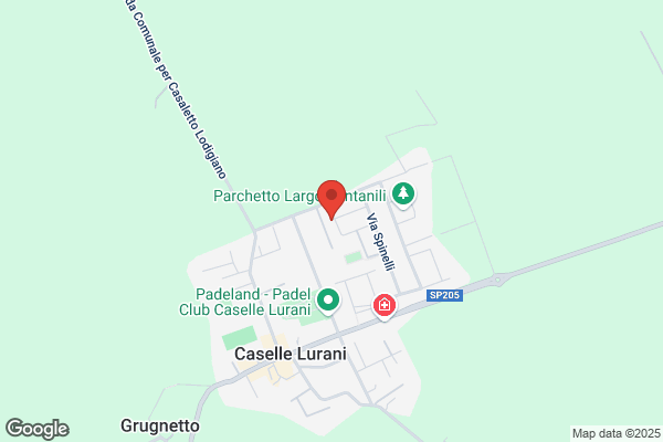 Magnani ernesto