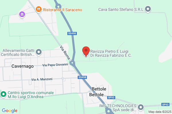 Ravizza Di Ravizza Naborre E C. S.N.C.