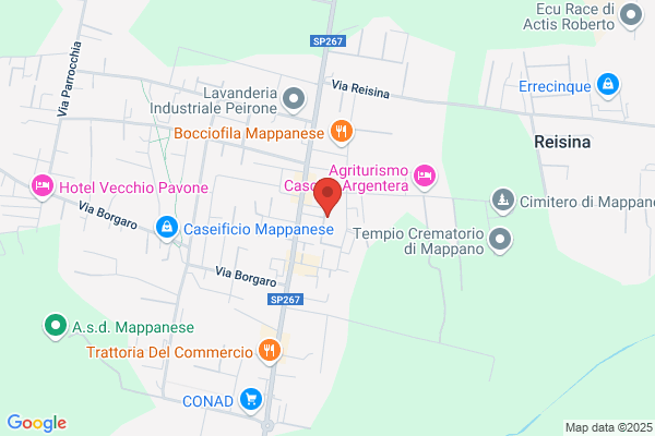 Salgomma