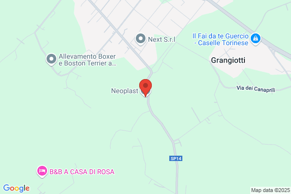 Neoplast Snc