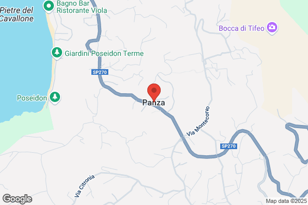 Panza fedele