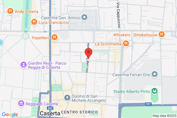 Istituto Professionale Commercio E Turismo Maffei