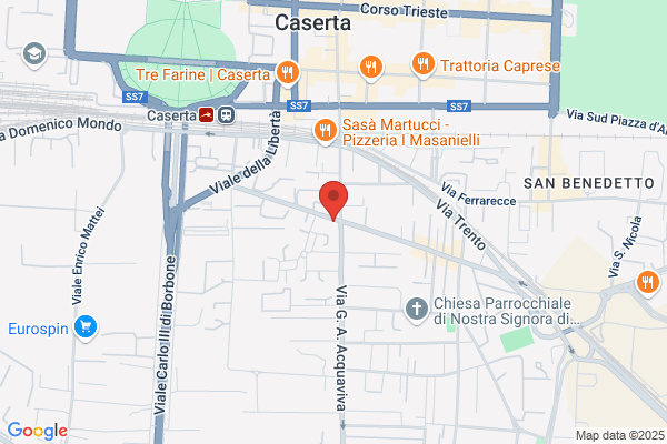 Istituto Irmc