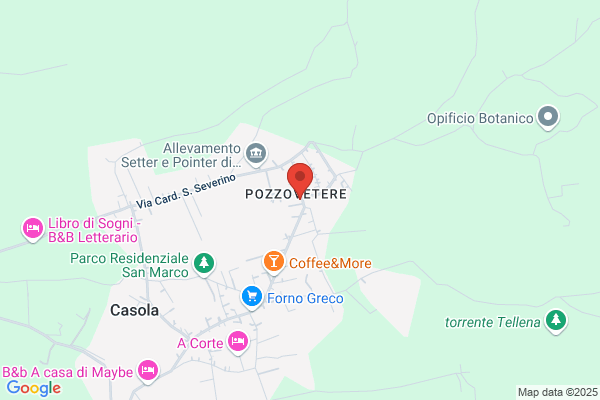 Salzano anna