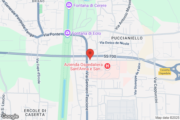 Nuova Ortopedia Sannitica Srl