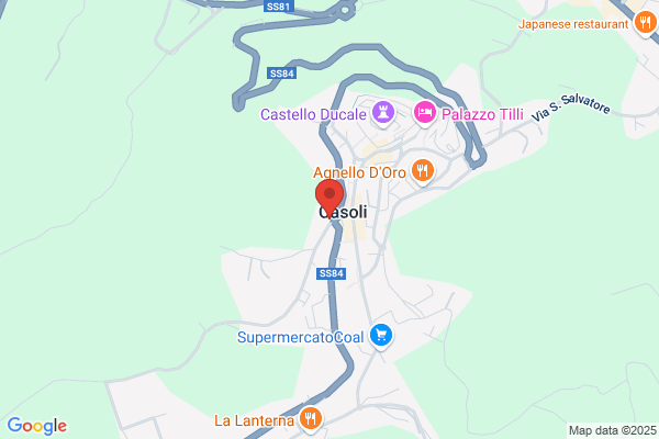 Palestra A.S. Gem.