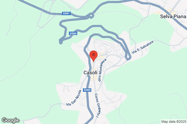 Talone bruno (Rag.)
