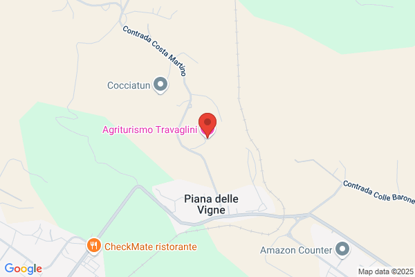 Travaglini armando