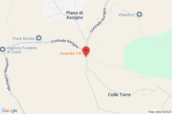 Troilo antonietta