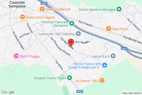Salicini Srl