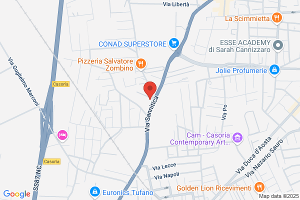 Organizzato Auto Di Palo Srl