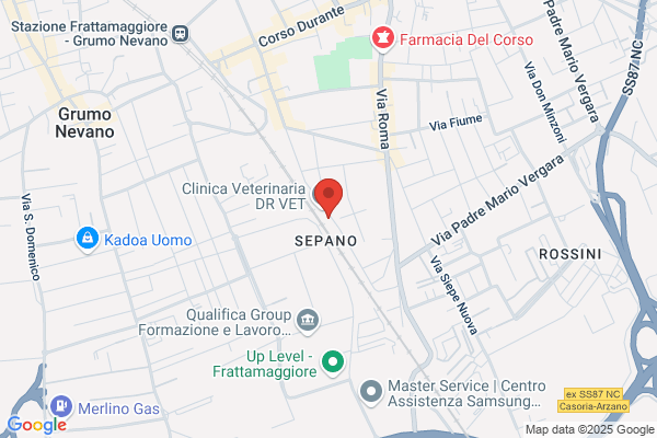 Picano Rent