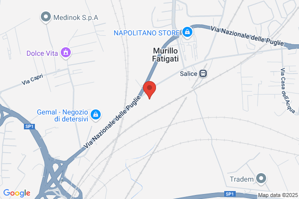 Oleodinamica Napoletana Srl