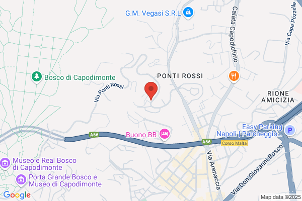 Madame Clarì Articoli per Feste Visita il sito WEB