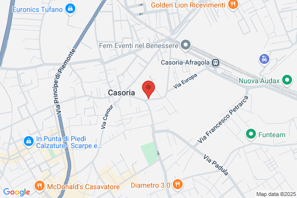 Istituto Brando