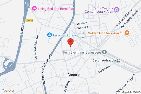 Istituto Rousseau