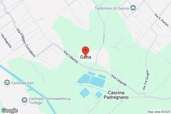 Gatta Teresio