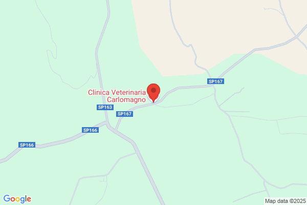 Clinica Veterinaria Carlomagno
