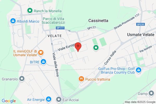 Penna E Calamaio Di Foglio Maria Luisa