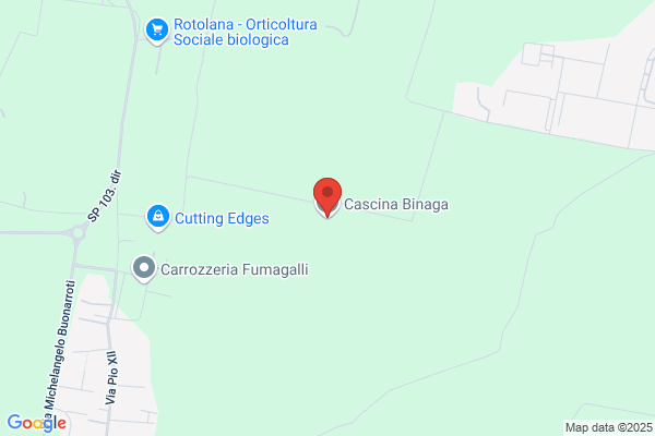 Manzoni antonio