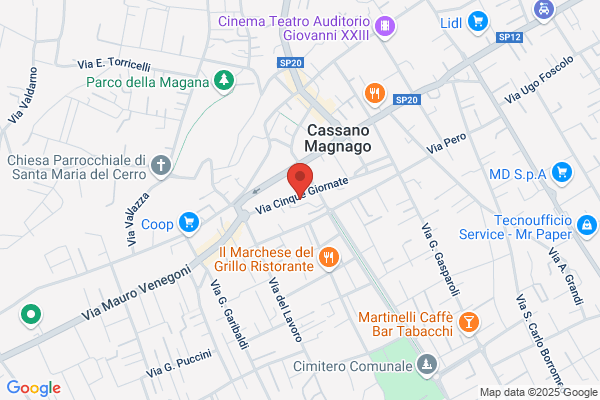 Groomig Lei Lui Di Prezzemolo Damiano