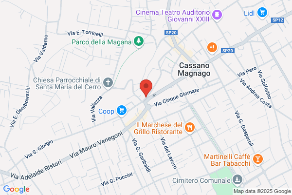Vasconi elena