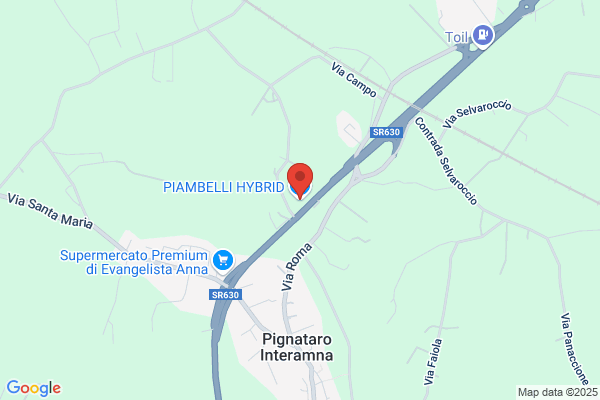 Piambelli Car Service