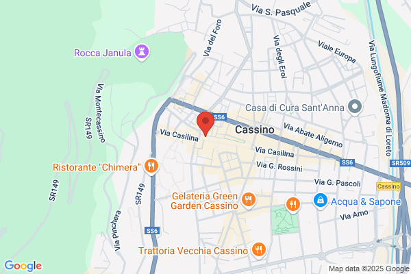 Palmieri carmine (Ing.)