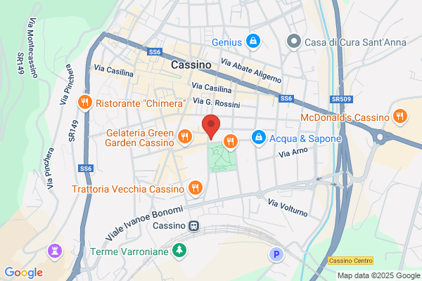 Stoto bruno (Dr.)