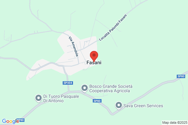 Fasani Di Fasani E. E P. Sas
