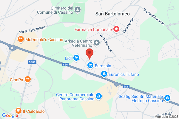 C.I.S. Centro Italia Soccorsi
