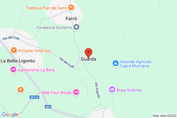 Guarda Flavio