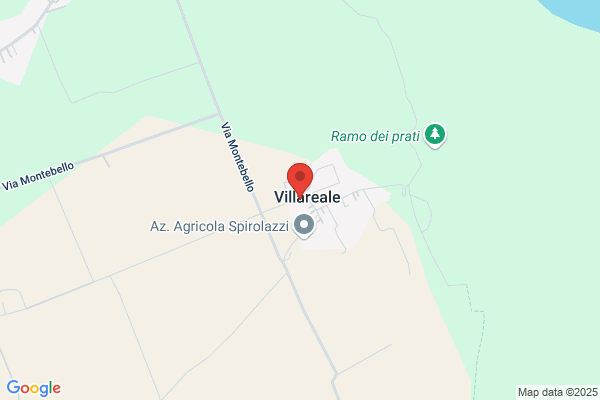 Langolo Perduto Di Vanella Luca Alan