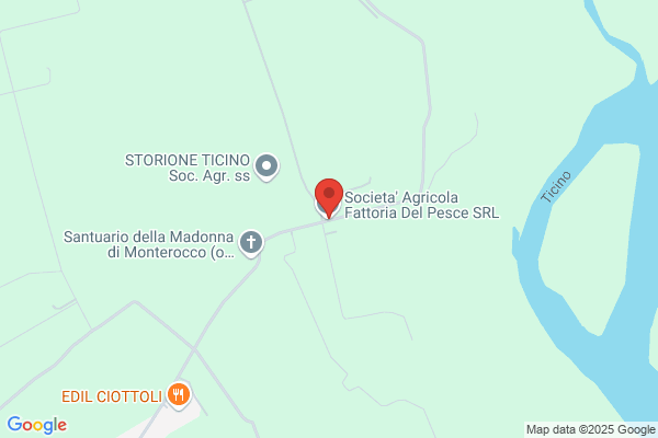 Mandelli Azienda Agricola