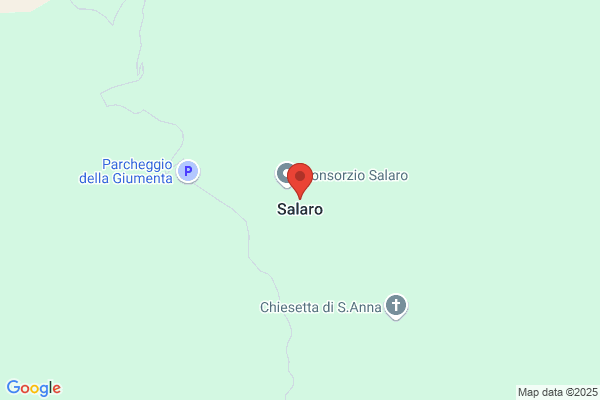 Salaro francesco