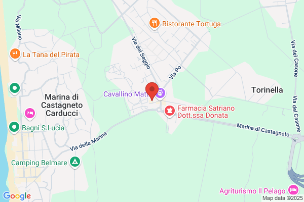 Cavallino Matto Restaurant e Pizzeria