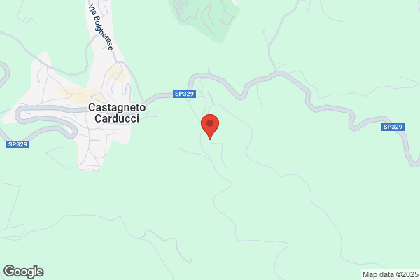Lanini Remo