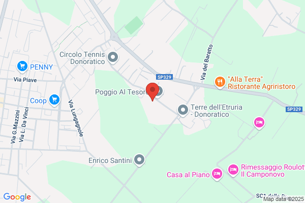 Parrini ilio