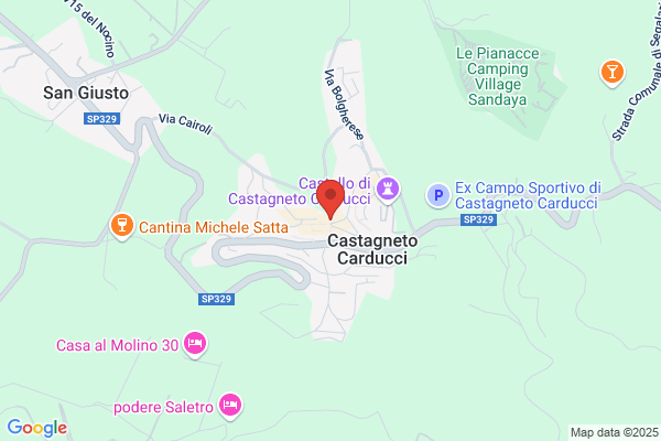 Partito Democratico Della Sinistra