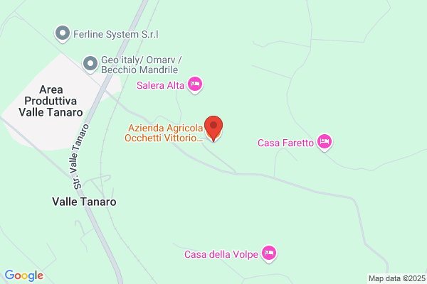 Occhetti Vittorio E Alfonso