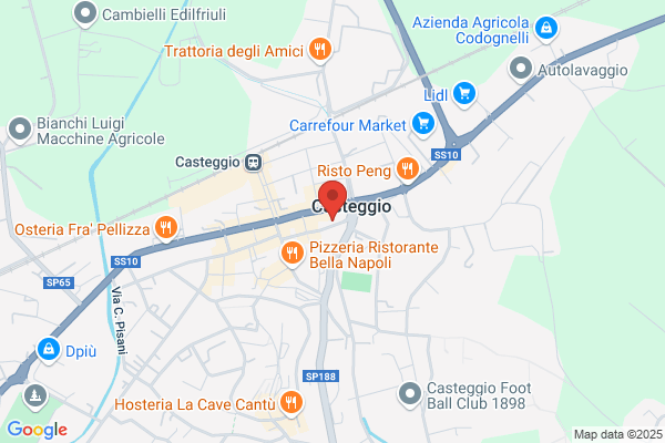 Gestione Servizi Pubblici Spa