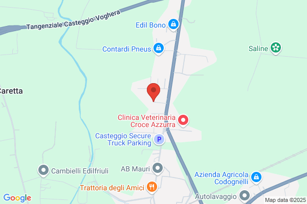 Milanesi aldo