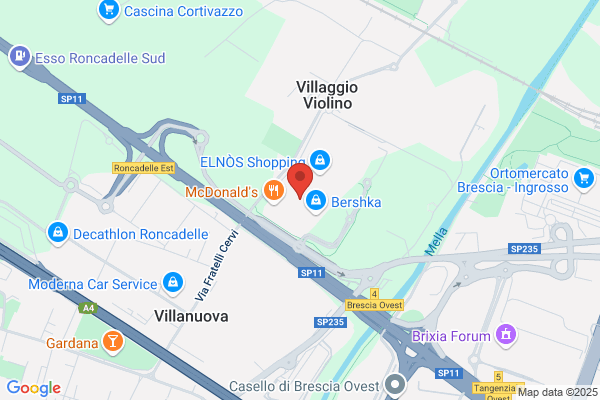 Salmoiraghi & Viganò