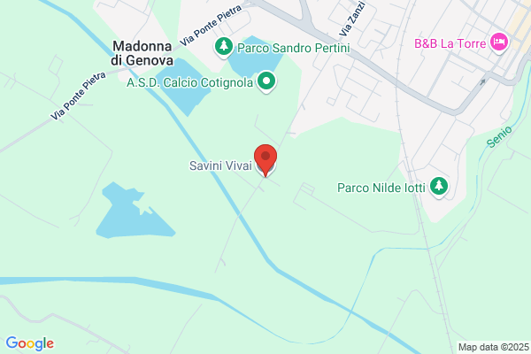 Savini gianluca