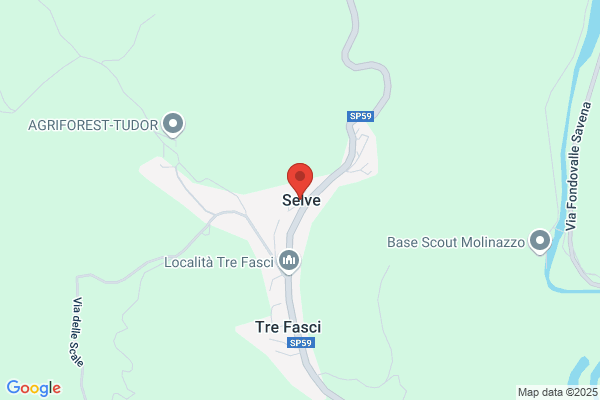 Jimmydisinfestazione