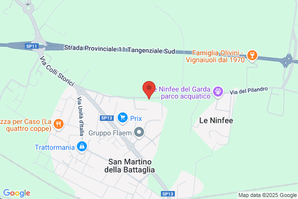 Frigo Luca
