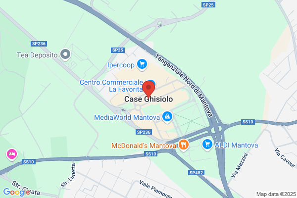 Ghisi Silvio